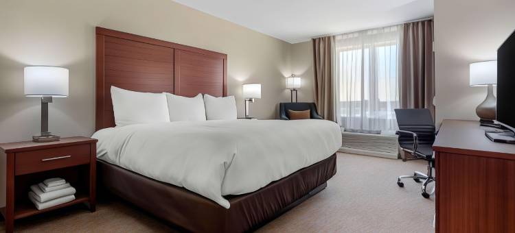 舒适套房酒店(Comfort Inn & Suites)图片
