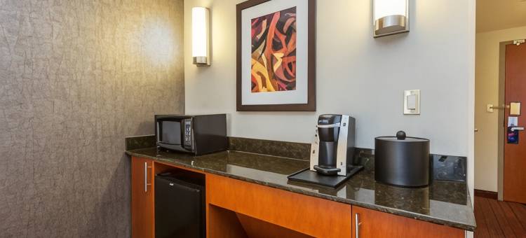 智选假日套房酒店奥本(Holiday Inn Express & Suites Auburn)图片