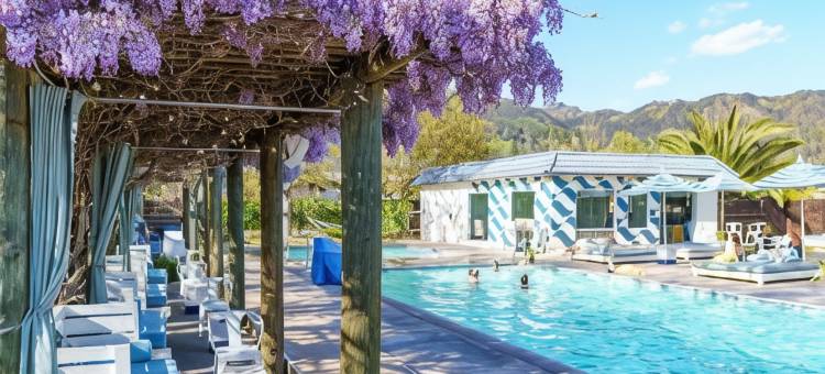 卡利斯托加汽车旅馆及水疗中心 - Hyatt尚选品牌成员(Calistoga Motor Lodge Spa, A Jdv by Hyatt Hotel)图片