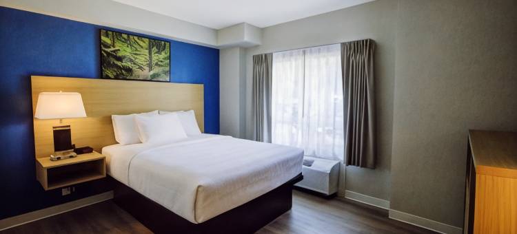 Baymont by Wyndham Gold River(Baymont by Wyndham Gold River)图片