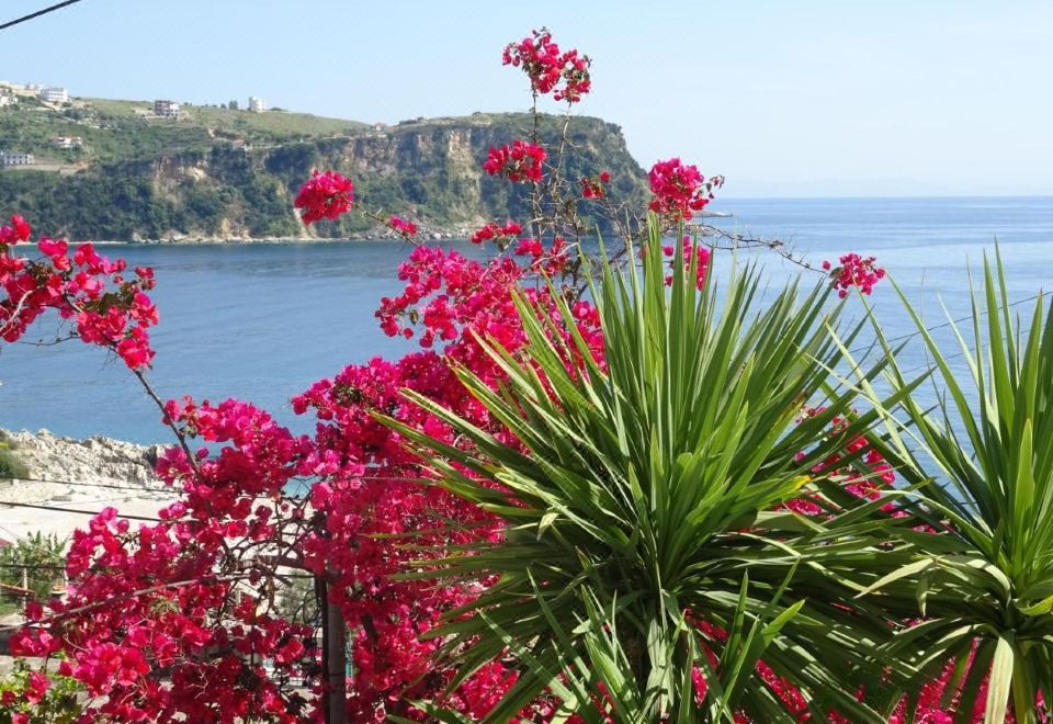 Ionian View Hotel Overview