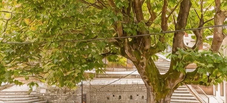 赫里多纳酒店(Helidona)图片