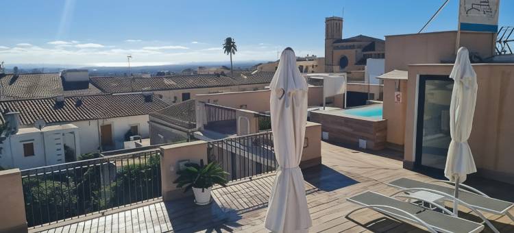 圣米克尔小酒店(Boutique Hotel Petit Sant Miquel)图片