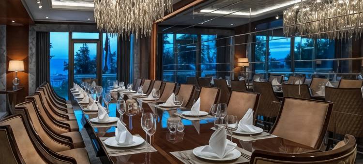 瑞享温泉水疗酒店(Mövenpick Bursa Hotel and Thermal Spa)图片