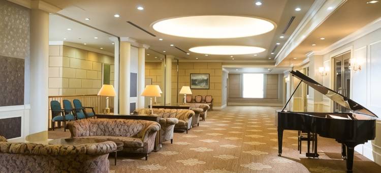 摩那趣鸟取酒店(Hotel Monarque Tottori)图片