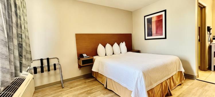 阿林顿六旗附近温德姆戴斯套房酒店(Days Inn & Suites by Wyndham Arlington Near Six Flags)图片