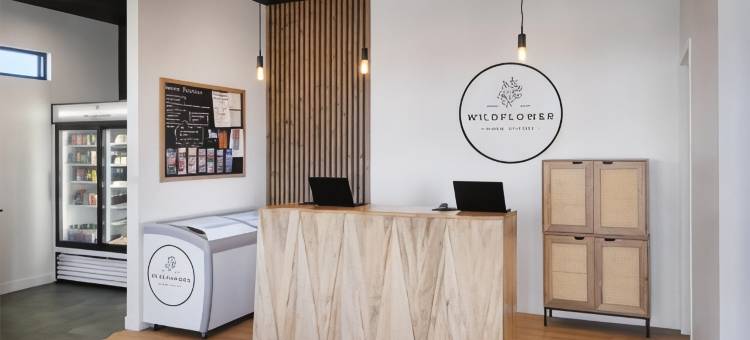 Zion Wildflower, BW Premier Collection图片