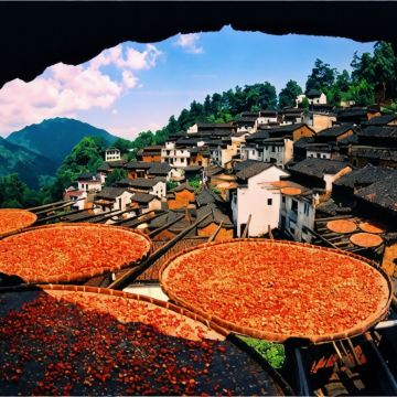 黄山风景区+宏村景区+千岛湖景区+西递+婺源篁岭景区4日3晚跟团游