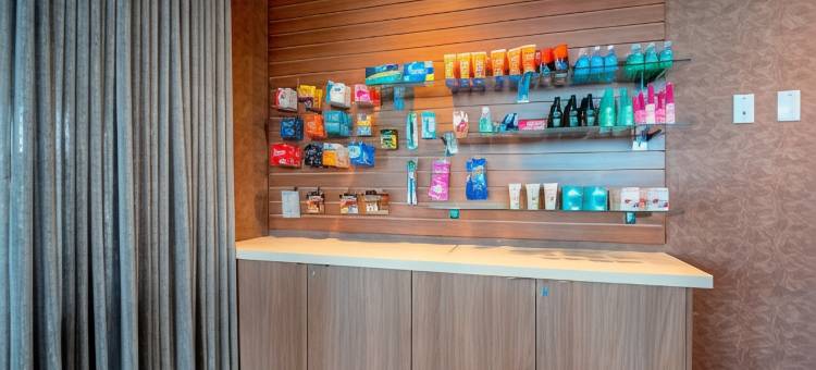 德卢斯海滨万枫套房酒店(Fairfield Inn & Suites Duluth Waterfront)图片