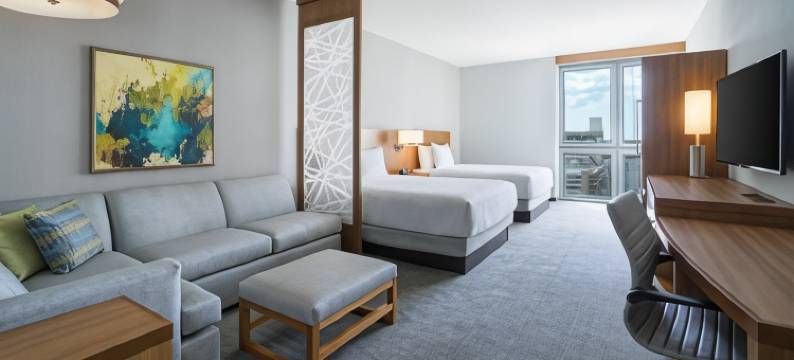 圣彼德斯堡市中心凯悦嘉轩酒店(Hyatt Place St Petersburg/Downtown)图片