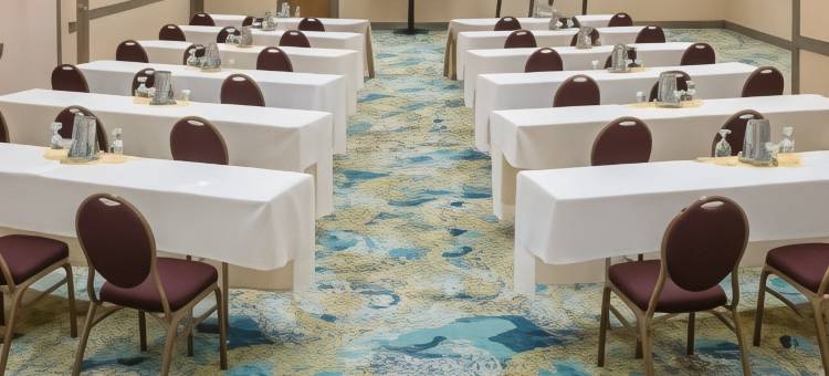 西雅图塔科马国际机场希尔顿安泊酒店(Embassy Suites by Hilton Seattle Tacoma International Airport)图片