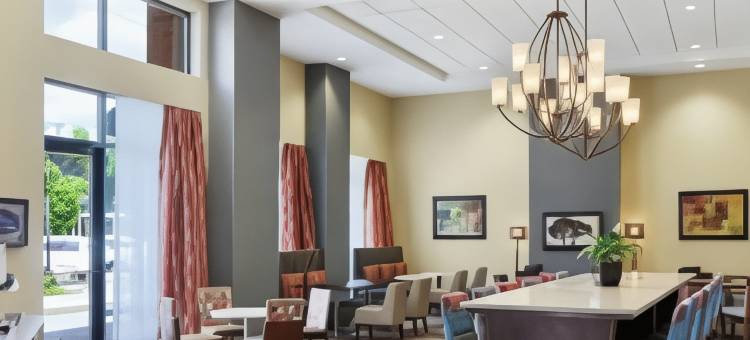 芒特普罗佩特欢朋套房酒店(Hampton Inn & Suites Chicago/Mt. Prospect)图片