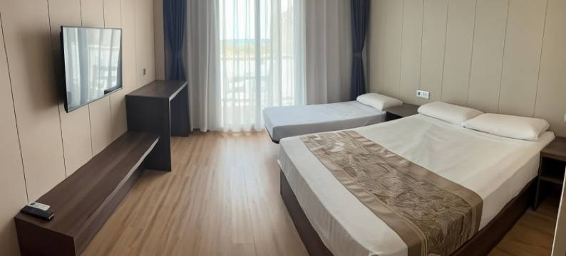 新欧罗巴酒店(Hotel Nueva Europa)图片