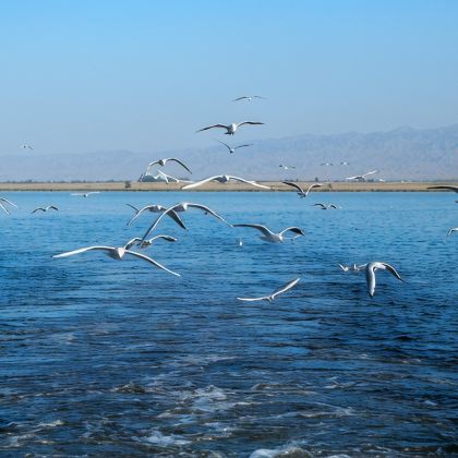呼和浩特+乌梁素海景区+响沙湾8日7晚跟团游