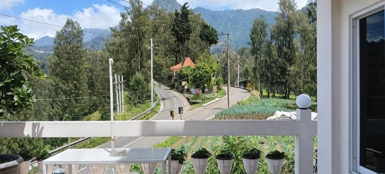 布罗莫普尔莫旅馆(Pulmo Guesthouse Bromo)图片