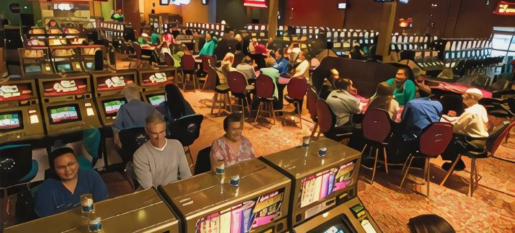 胡椒树奥本贝斯特韦斯特优质酒店(Best Western Plus Mountain View Auburn Inn)图片