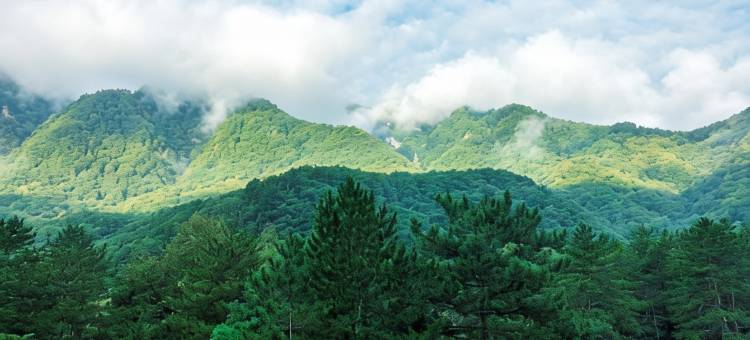 黄柏塬红河山庄图片