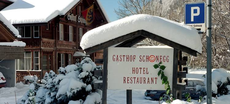 施因尼格客栈酒店(Gasthof Schoenegg B&B)图片