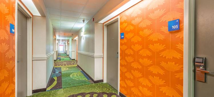 Holiday Inn Express SAINT SIMONS岛(Holiday Inn Express SAINT SIMONS ISLAND by IHG)图片