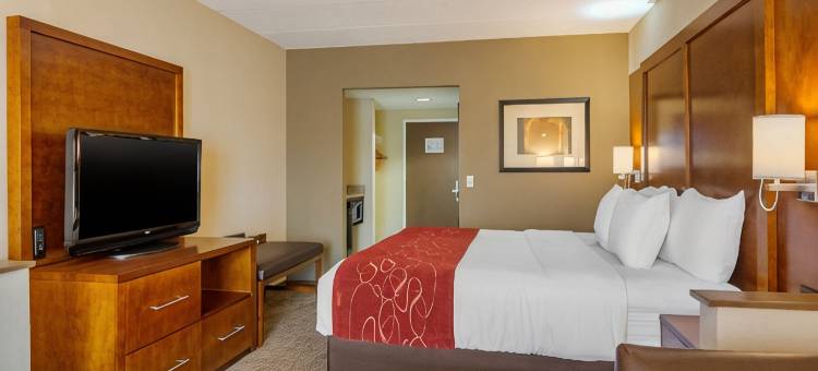 南方公园舒适套房酒店(Comfort Suites Southpark)图片