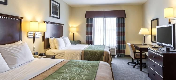 品质酒店丽晶(Quality Inn Donaldsonville - Gonzales)图片