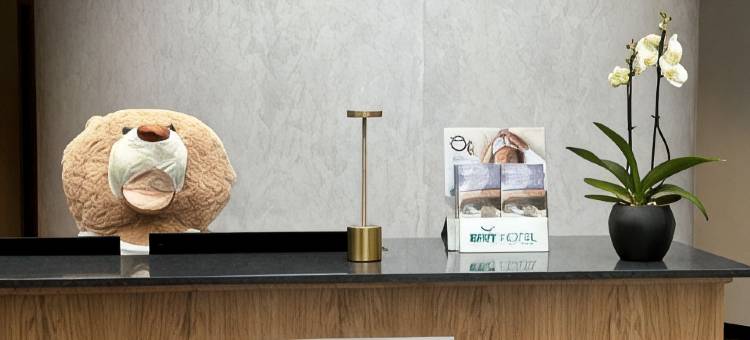 巴黎 - 罗斯尼的Brit Hotel Privilège(Brit Hotel Privilège Paris Rosny-Sous-Bois)图片