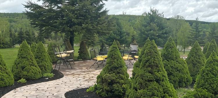 质朴露营地配有步道、景观和探险活动 – 宠物友好!(Rustic Camp with Trails, Views & Adventure – Pet Friendly!)图片