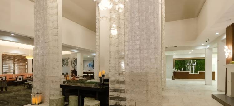 希尔顿花园酒店-锡克里(Hilton Garden Inn Hickory)图片