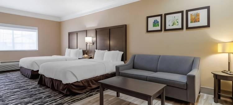 金伍德休斯顿北部舒适套房酒店(Comfort Suites Kingwood Houston North)图片