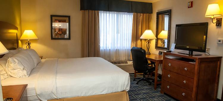 Holiday Inn Express 途胜的机场(Holiday Inn Express TUCSON-AIRPORT by IHG)图片