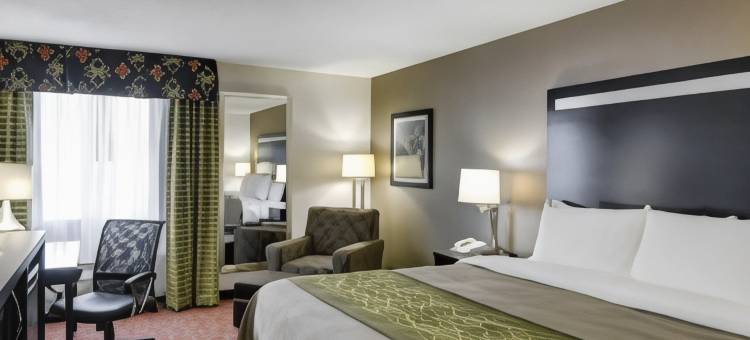 佩恩斯维尔舒适酒店(Comfort Inn)图片