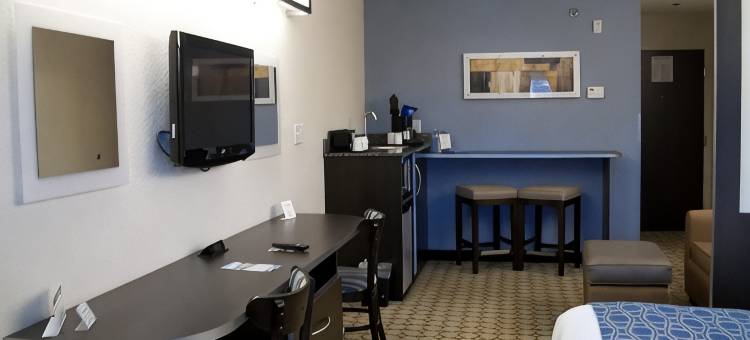 斯普林希尔麦客达温德姆酒店/威基沃奇(Microtel Inn & Suites by Wyndham Spring Hill/Weeki Wachee)图片