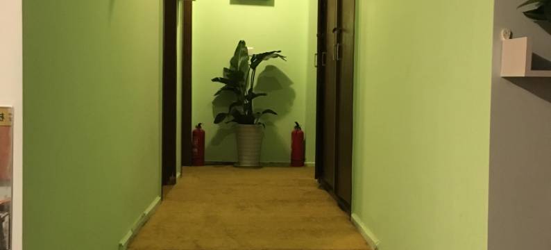 仁寿鸟巢旅社图片