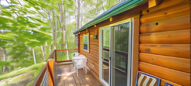 寇兹海文小木屋(Kozy Haven Log Cabin Rentals)图片