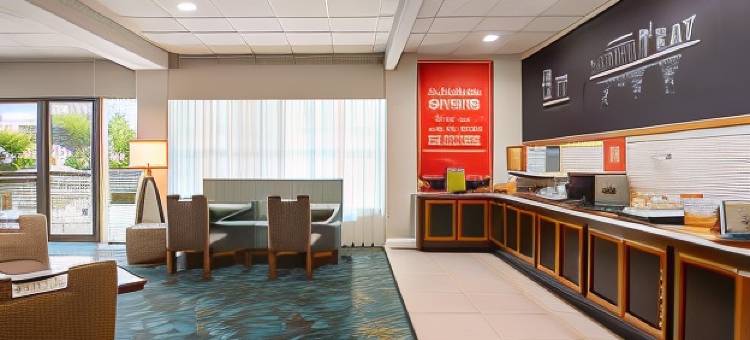 彭布罗克派恩斯希尔顿欢朋酒店(Hampton Inn Ft. Lauderdale-West/Pembroke Pines)图片