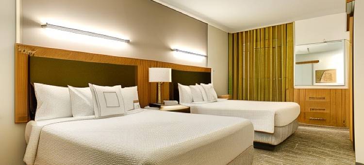 SpringHill Suites McAllen Convention Center图片