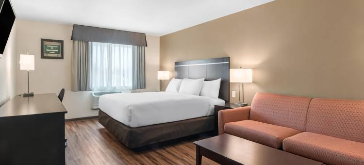 伊克诺套房旅馆(Econo Lodge Inn & Suites)图片