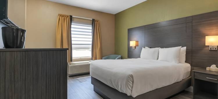 凯艺套房酒店(Quality Inn & Suites)图片