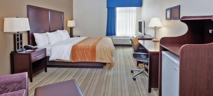 舒适酒店(Comfort Inn)图片