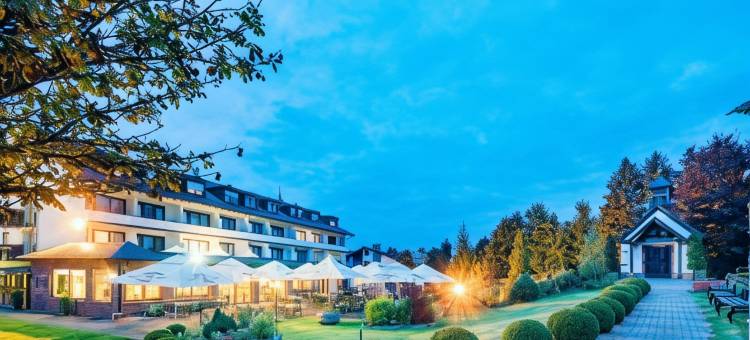 布鲁恩霍夫贝斯特韦斯特酒店(Best Western Hotel Brunnenhof)图片