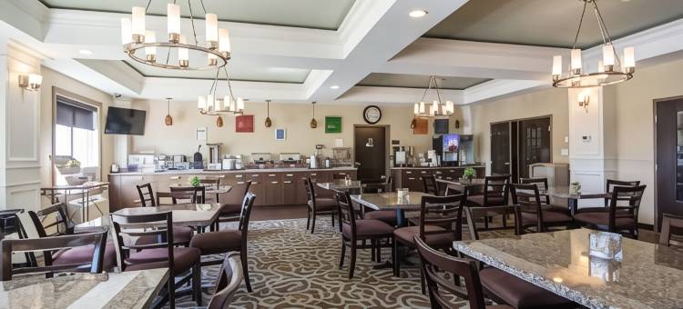 舒适套房酒店(Comfort Inn & Suites)图片