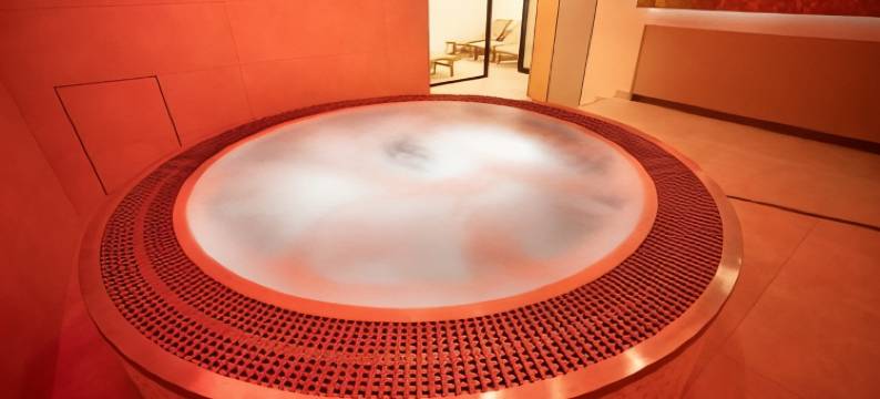 拿普利茨基酒店(Hotel U Kaplicky)图片