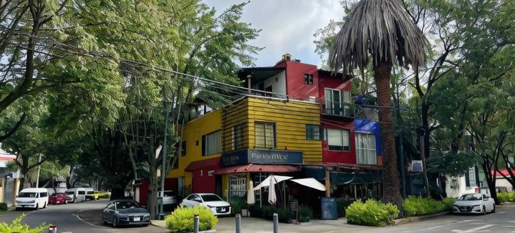 OYO安苏雷斯主题酒店(Collection O Casa Anzures Thematic, Mexico City)图片