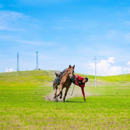 锡林郭勒盟草原+蒙古汗城旅游景区+乌拉盖草原+乌拉盖野狼谷景区+锡盟西乌旗乌兰五台景区+布林泉6日5晚拼小团