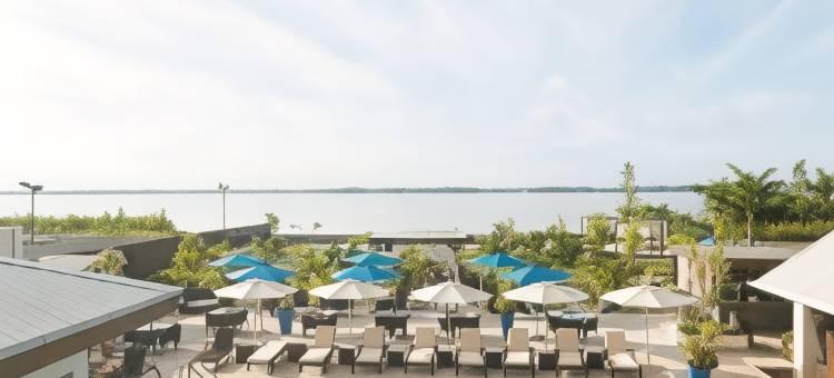 帕拉马里博万怡酒店(Courtyard Paramaribo)图片