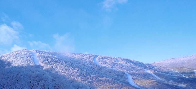 张兆健特色民宿图片