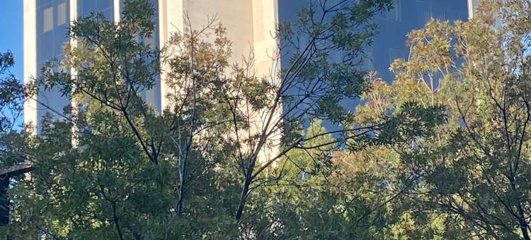 图里亚酒店格拉纳达(Turia Granada)图片