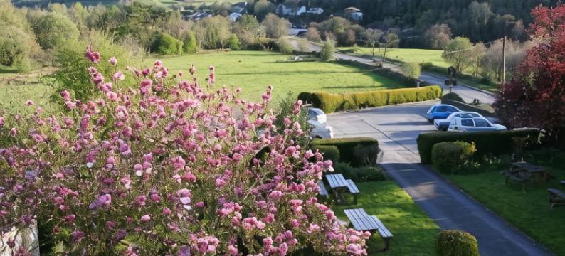 夫尔泽勒赫磨坊旅馆(Furzeleigh Mill)图片