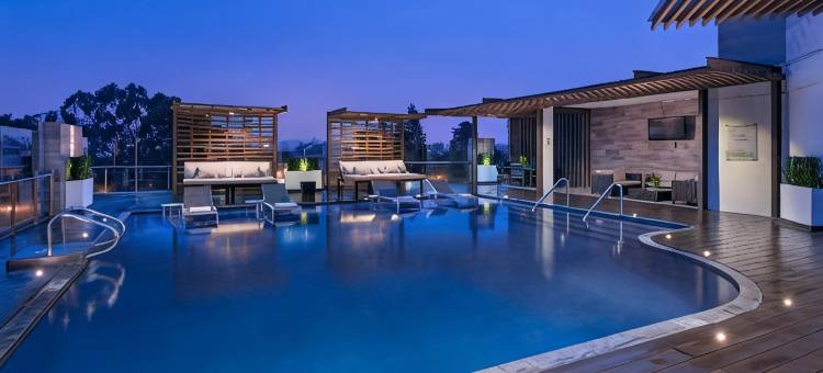 危地马拉城凯悦尚萃酒店(Hyatt Centric Guatemala City)图片