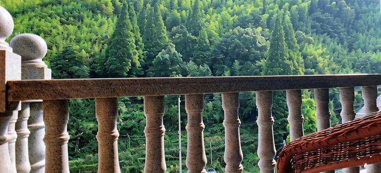 莫干山竹景山庄图片
